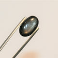 Natural Black Star Sapphire Oval Cabochon 15.3x9.2mm. (9.33ct.) - Top Quality