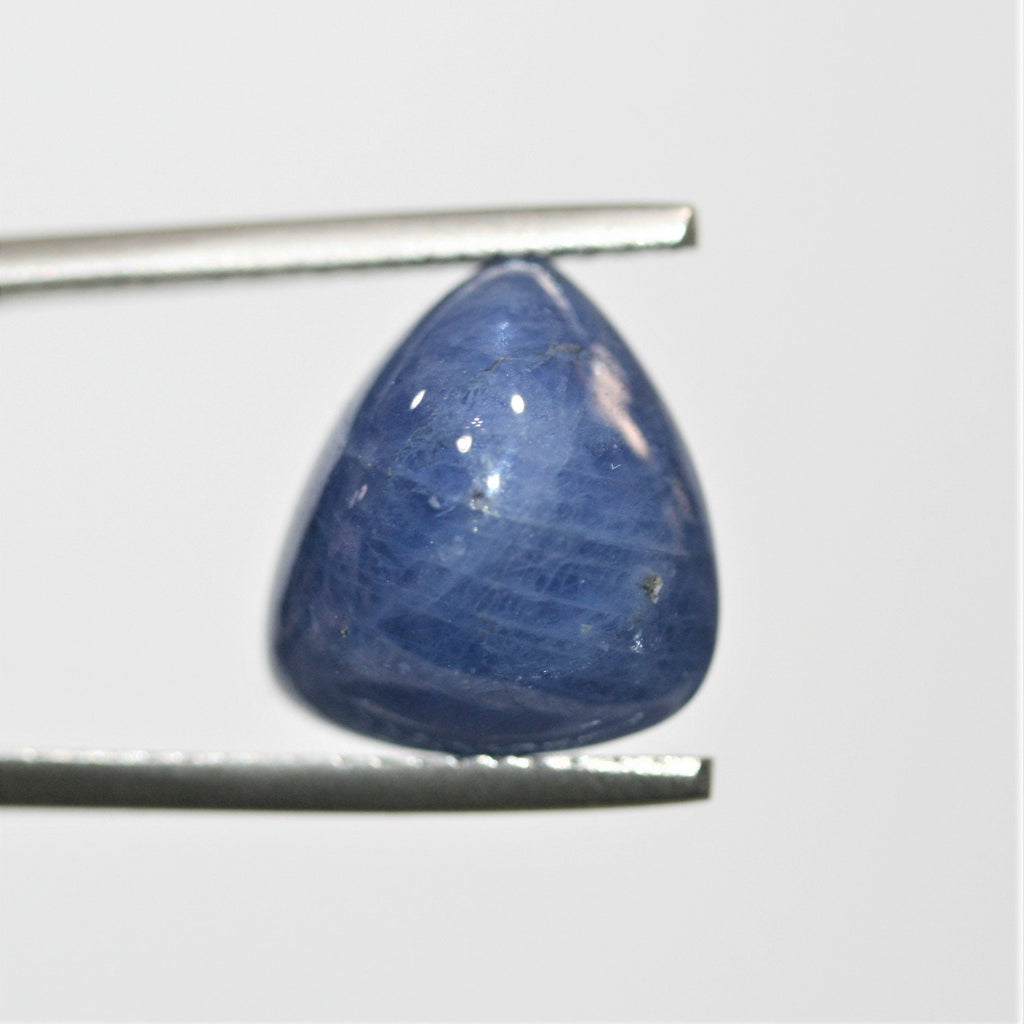 Sapphire Smooth Trillion Cabochon 13mm. (12 ct.)