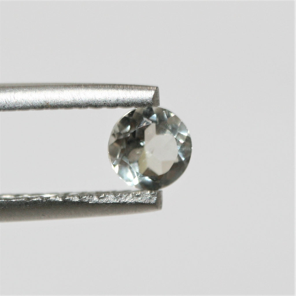 Lot de 16 pierres rondes à facettes de prasiolite de 5 mm.