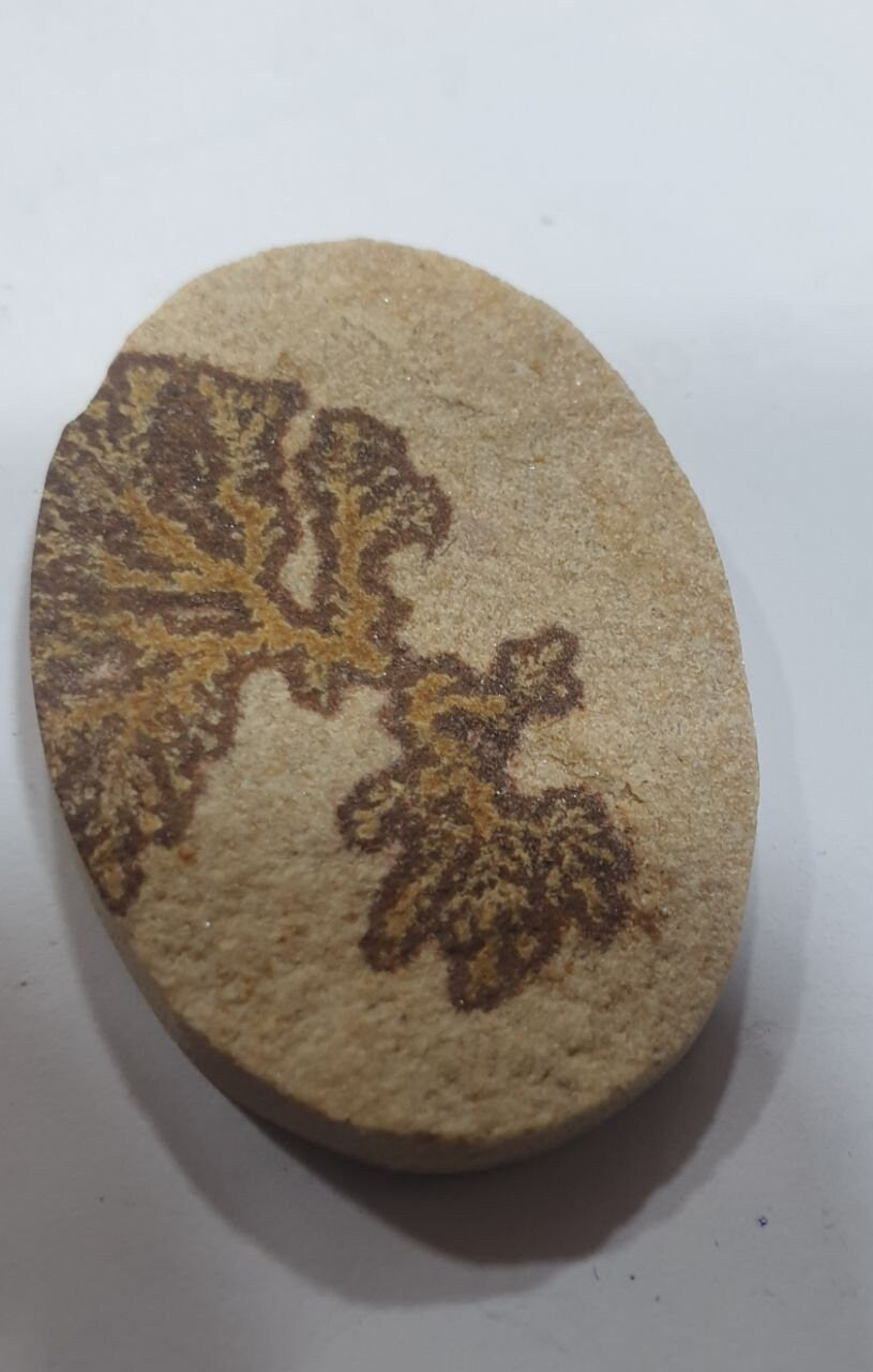 Big Dendritic On Limestone Cabochon Cab 34.7x25.2mm- One Of A Kind Breathtaking- Natural Stones- Rough Unpolished Limestone