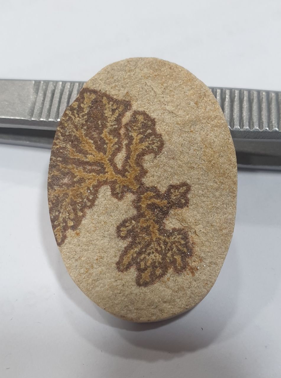 Big Dendritic On Limestone Cabochon Cab 34.7x25.2mm- One Of A Kind Breathtaking- Natural Stones- Rough Unpolished Limestone
