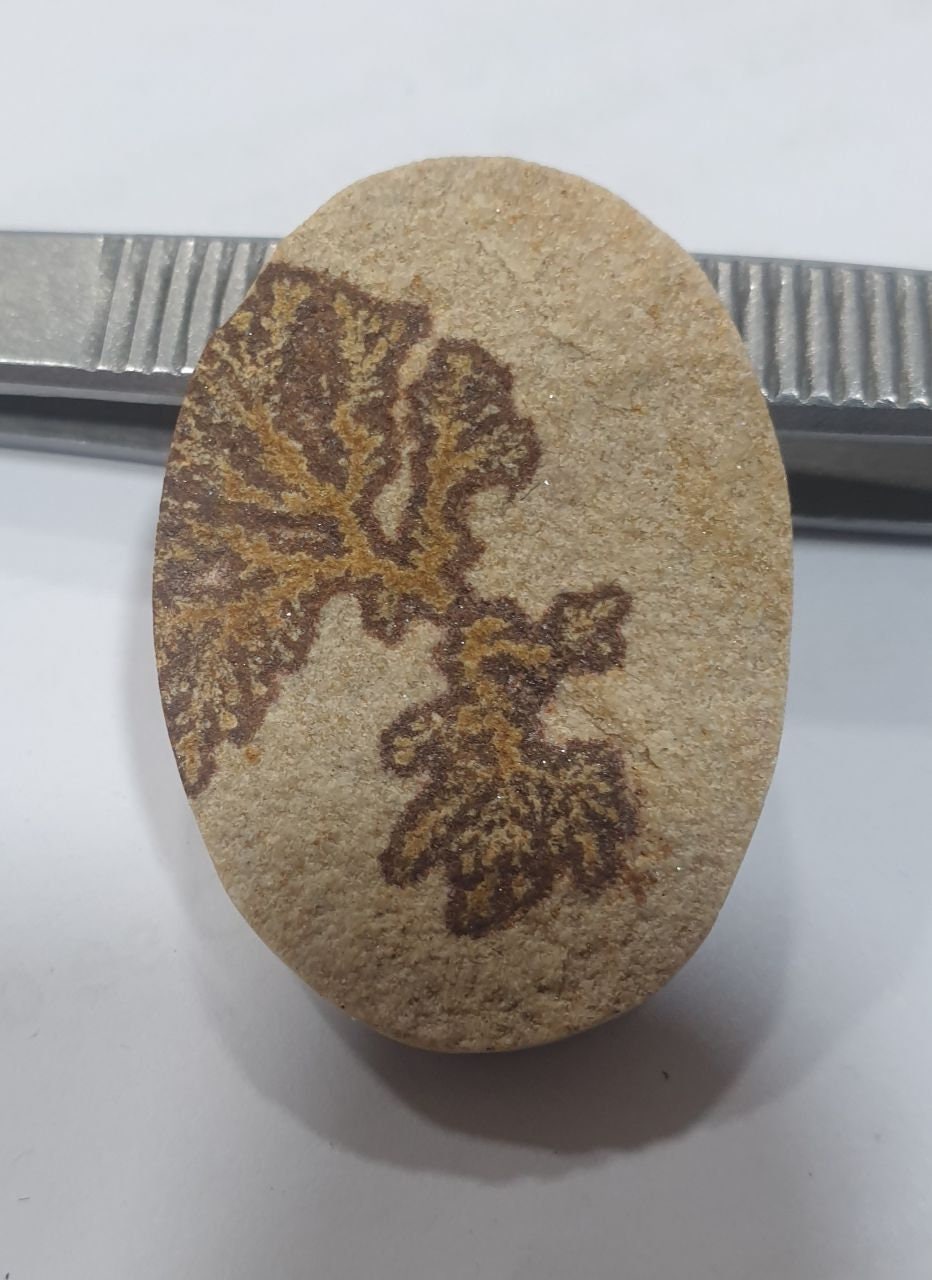 Big Dendritic On Limestone Cabochon Cab 34.7x25.2mm- One Of A Kind Breathtaking- Natural Stones- Rough Unpolished Limestone
