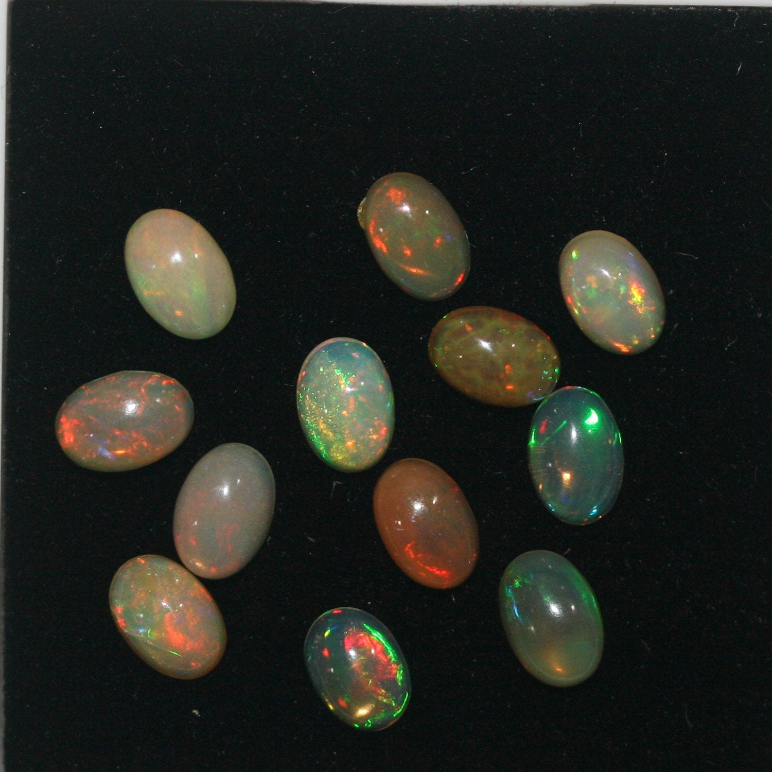 Ethiopian Opal Lot Oval Cabochon 6x4mm. (12pcs) -Gemstone Parcels-Loose Stones Wholesale Price