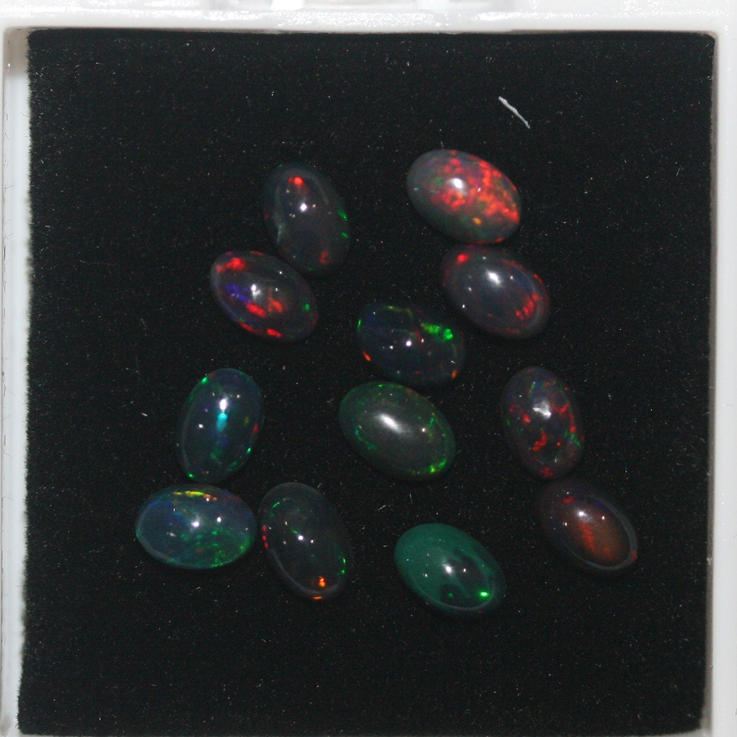 Ethiopian Black Opal Lot Oval Cabochon 6x4mm.-(12Pcs) -Gemstone Parcels-Loose Stones Wholesale Price