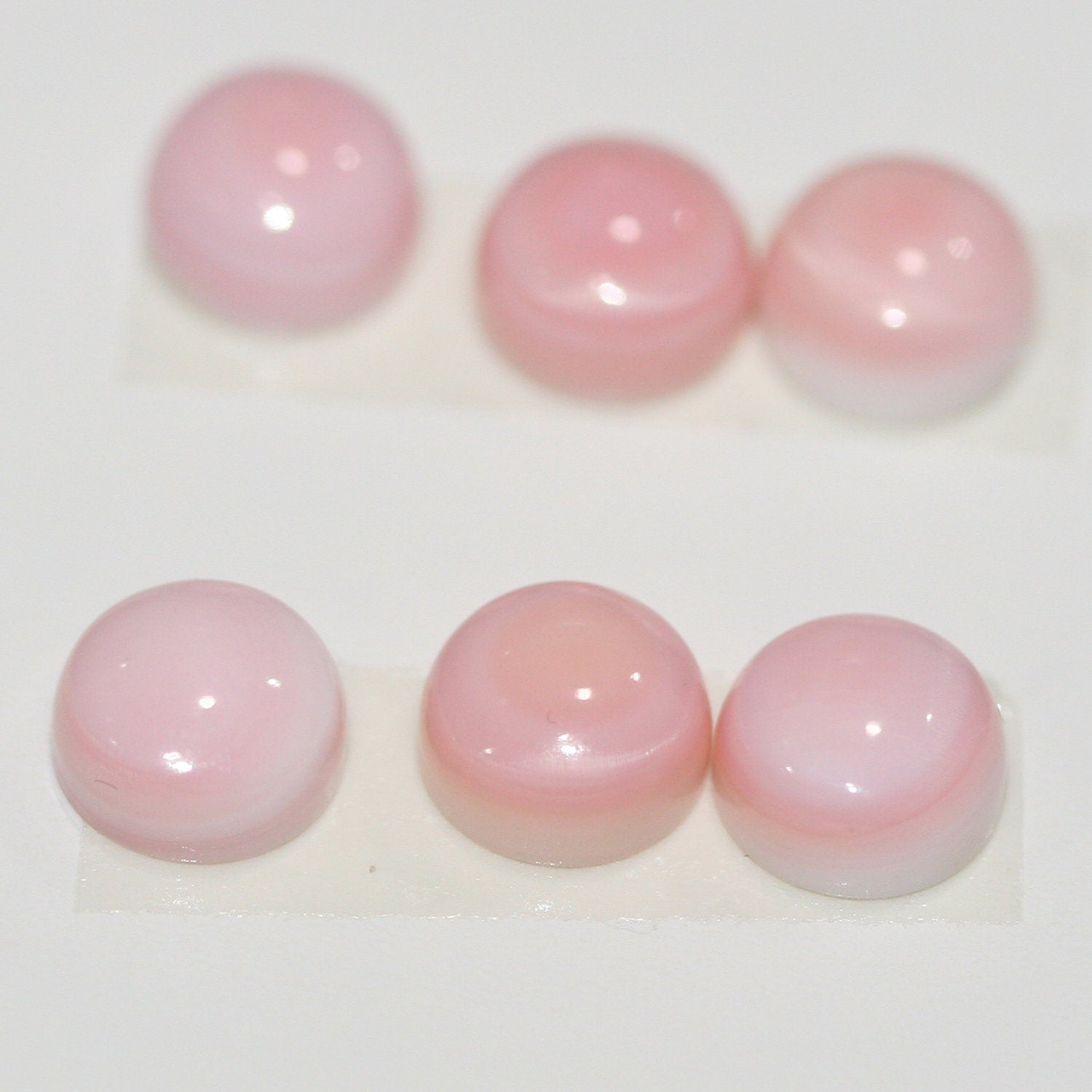 6 Pcs Lot Pink Shell Round Cabochon 8mm. (6 pcs.) - Hard Gems