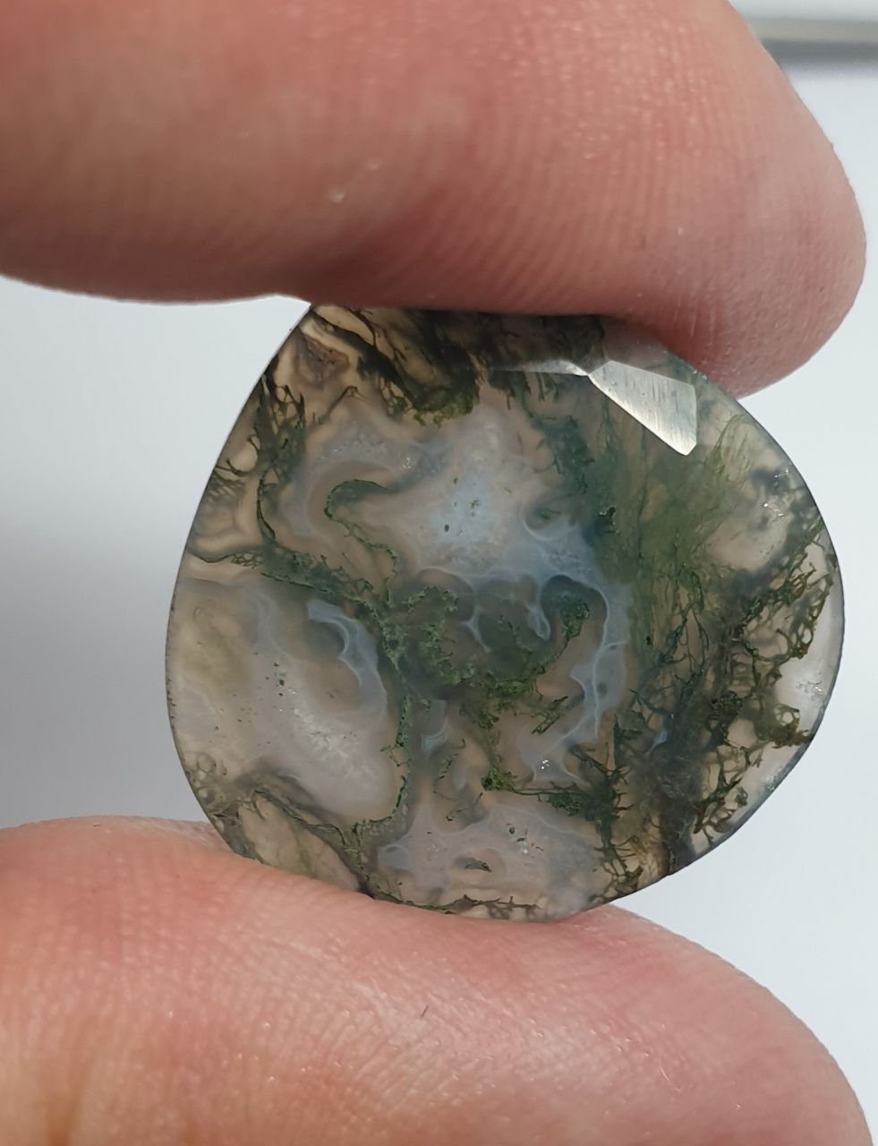 Paire de cabochons assortis en agate mousse AAA, taille à facettes, 25,37 ct, 22 x 22 mm, pièce unique.