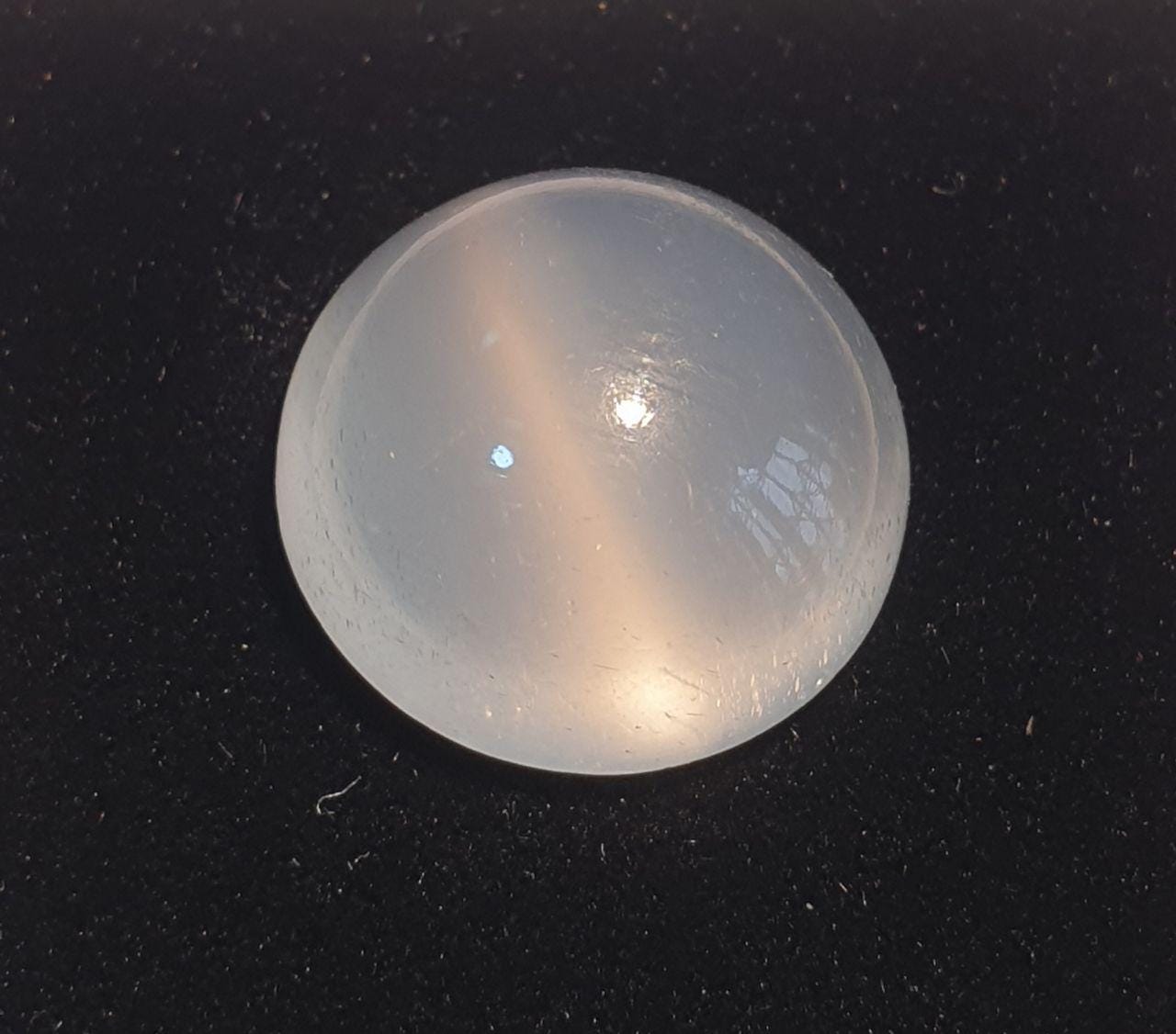 Pierre de lune œil-de-chat AAA unique en son genre, cabochon rond de 15 mm, gemme non traitée de qualité supérieure avec chatoyance.