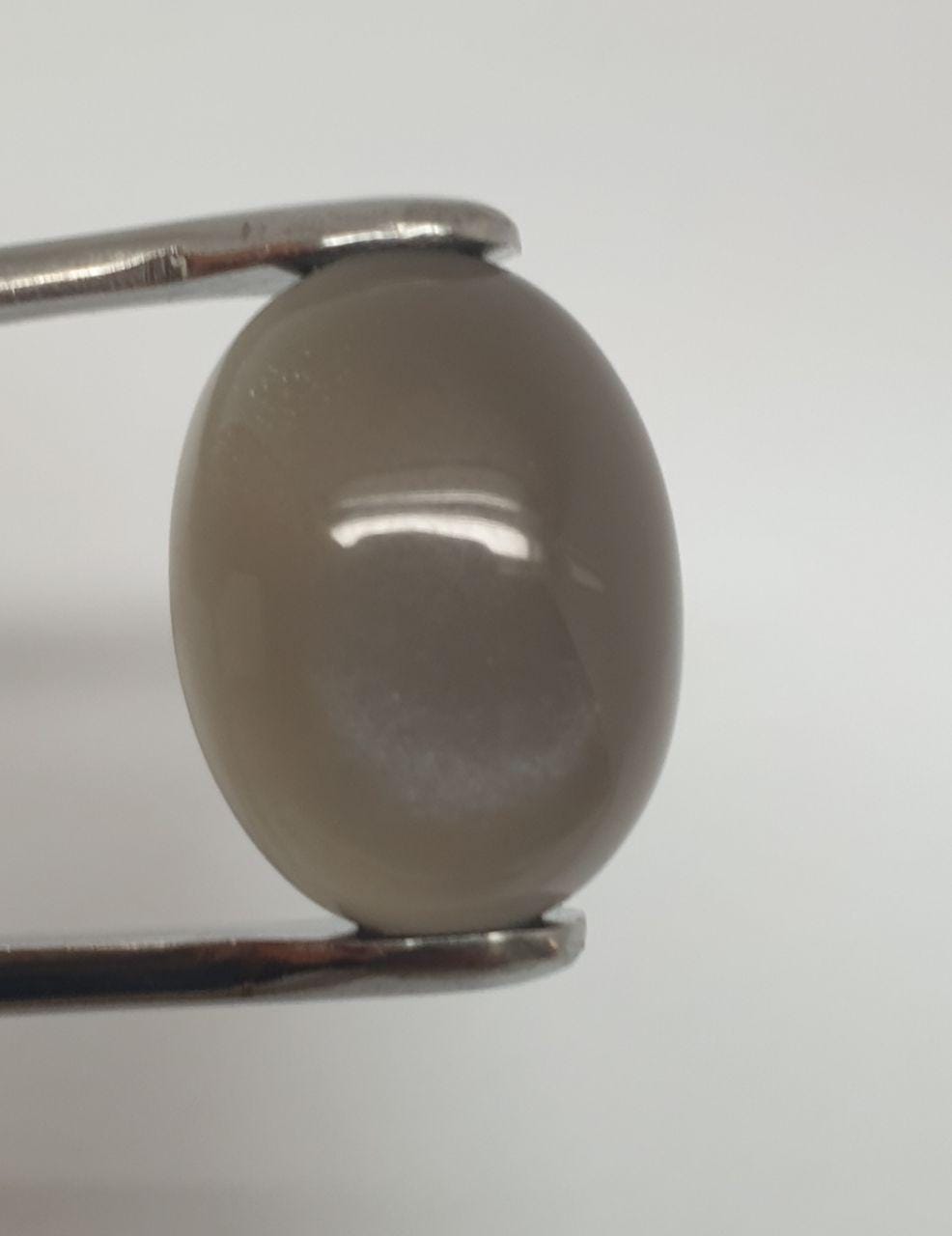 Pierre de lune noire AAA, cabochon ovale 19,1 x 14,2 mm (14,1 ct) - Pierre de collection, fournisseur de bijoux en pierres rares - Gemmes naturelles - Adularescence