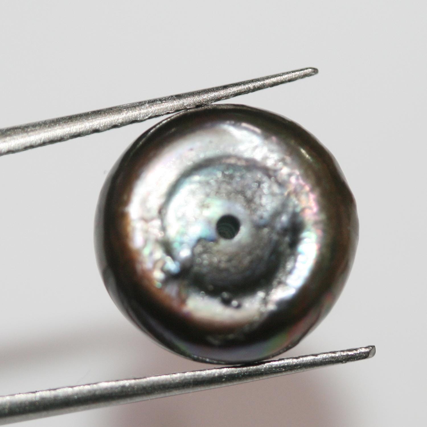 1 Pair High Brown Cultured Button Pearl 13.5-14mm.-Approx.-Half Drill. Button Natural  Pearl-Price Per 1 Pair- Pearl Earring