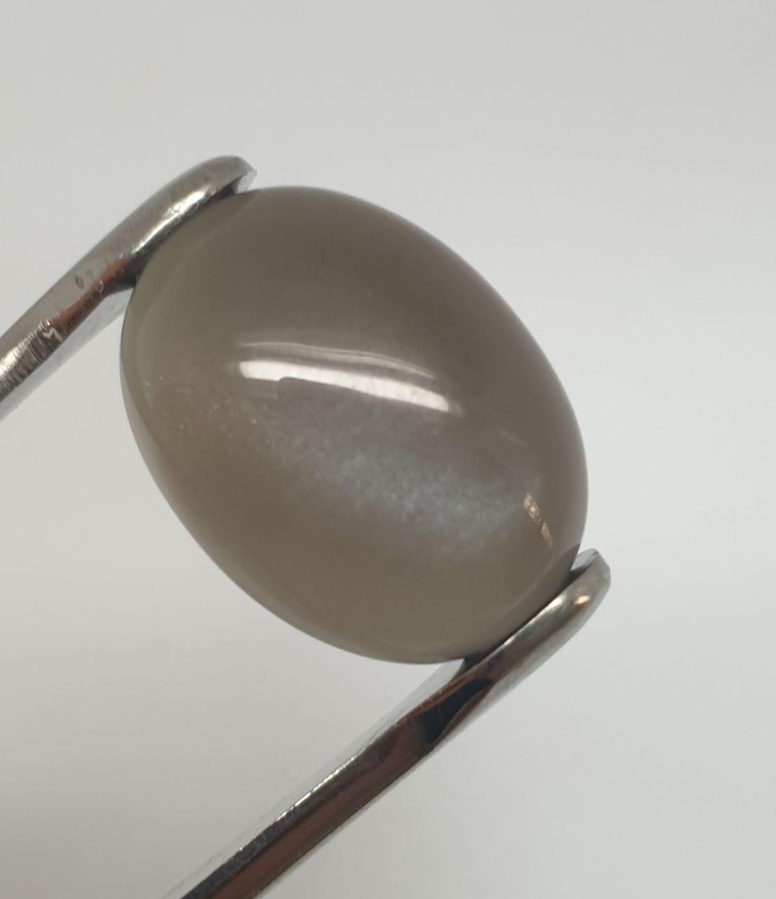 Pierre de lune noire AAA, cabochon ovale 19,1 x 14,2 mm (14,1 ct) - Pierre de collection, fournisseur de bijoux en pierres rares - Gemmes naturelles - Adularescence