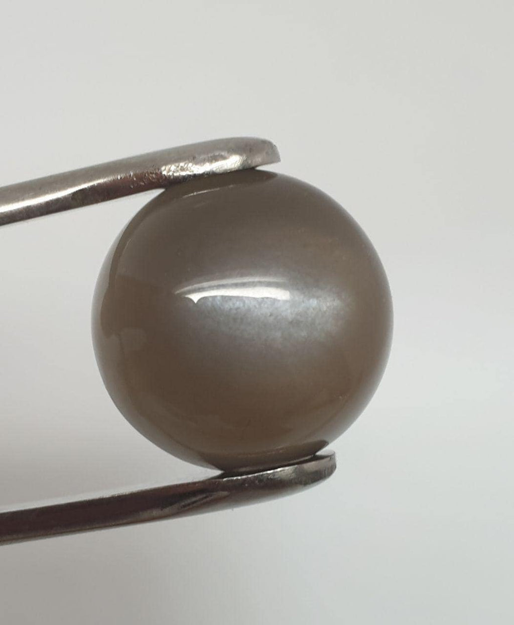 AAA Black Gray  Moonstone Round Cabochon 16mm 11.43ct Collector Stone Rare Stone Jewelry Supplier- Natural Gems - Hard Gems