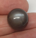 AAA Black Gray  Moonstone Round Cabochon 16mm 11.43ct Collector Stone Rare Stone Jewelry Supplier- Natural Gems - Hard Gems