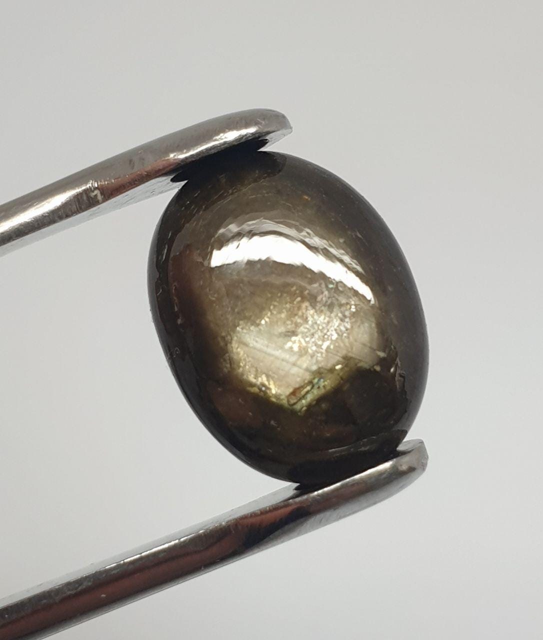 Black Star Sapphire Oval Cabochon 15.7x12mm(16.75ct.) Natural Sapphire-Wholesale Prices To Public