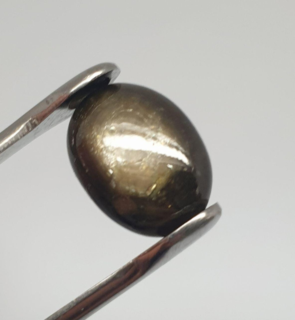 Saphir étoilé noir ovale cabochon 15,7 x 12 mm (16,75 ct) Saphir naturel - Prix de gros pour le public