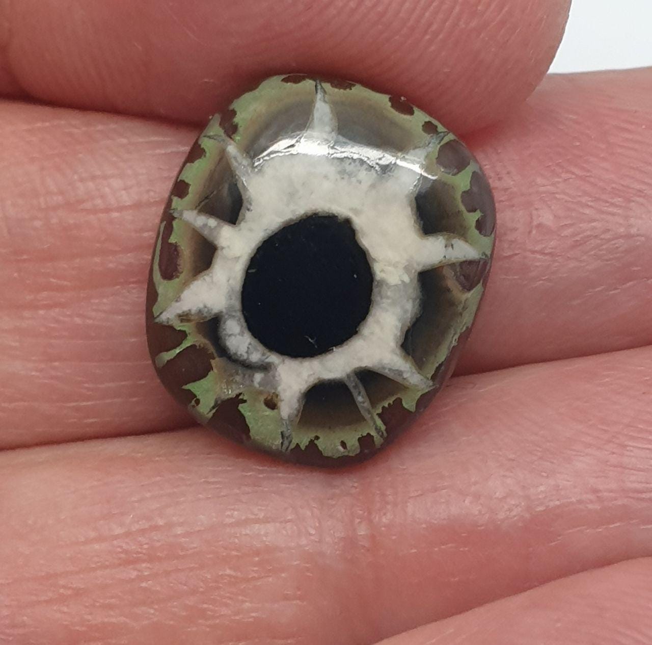 Natural Septarian  Oval Cabochon 16x14.1mm. 7.9 cts. Natural Stone