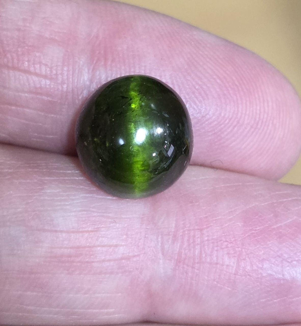 Tourmaline œil-de-chat verte AAA unique en son genre, cabochon ovale 12,6 x 12,1 mm, 11,22 ct - Gemme non traitée - Qualité supérieure - Chatoyance