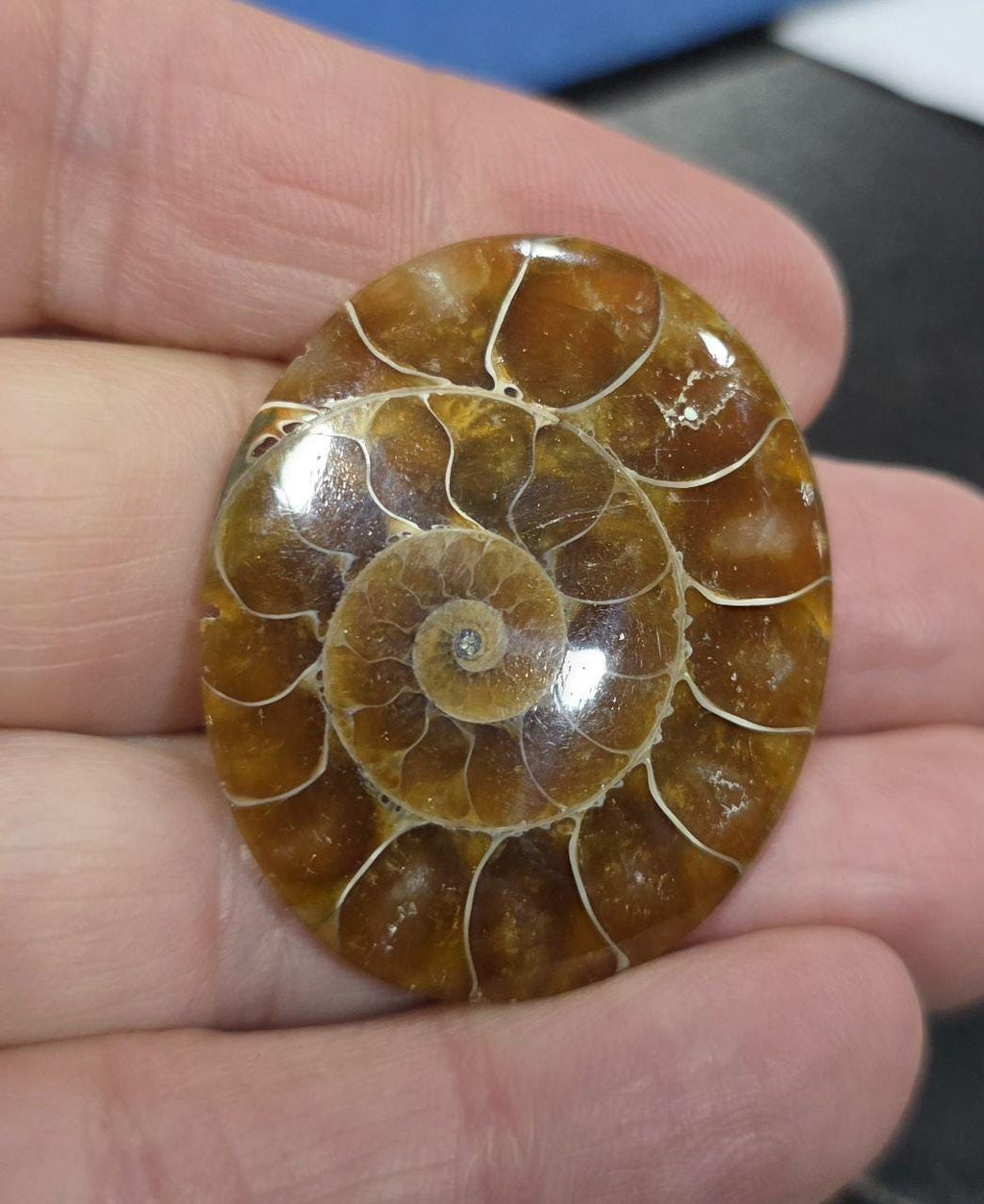 Big Top Quality Flat Ammonite Cabochon-Jewelry Making Natural Gems-48.23cts  38x32mm