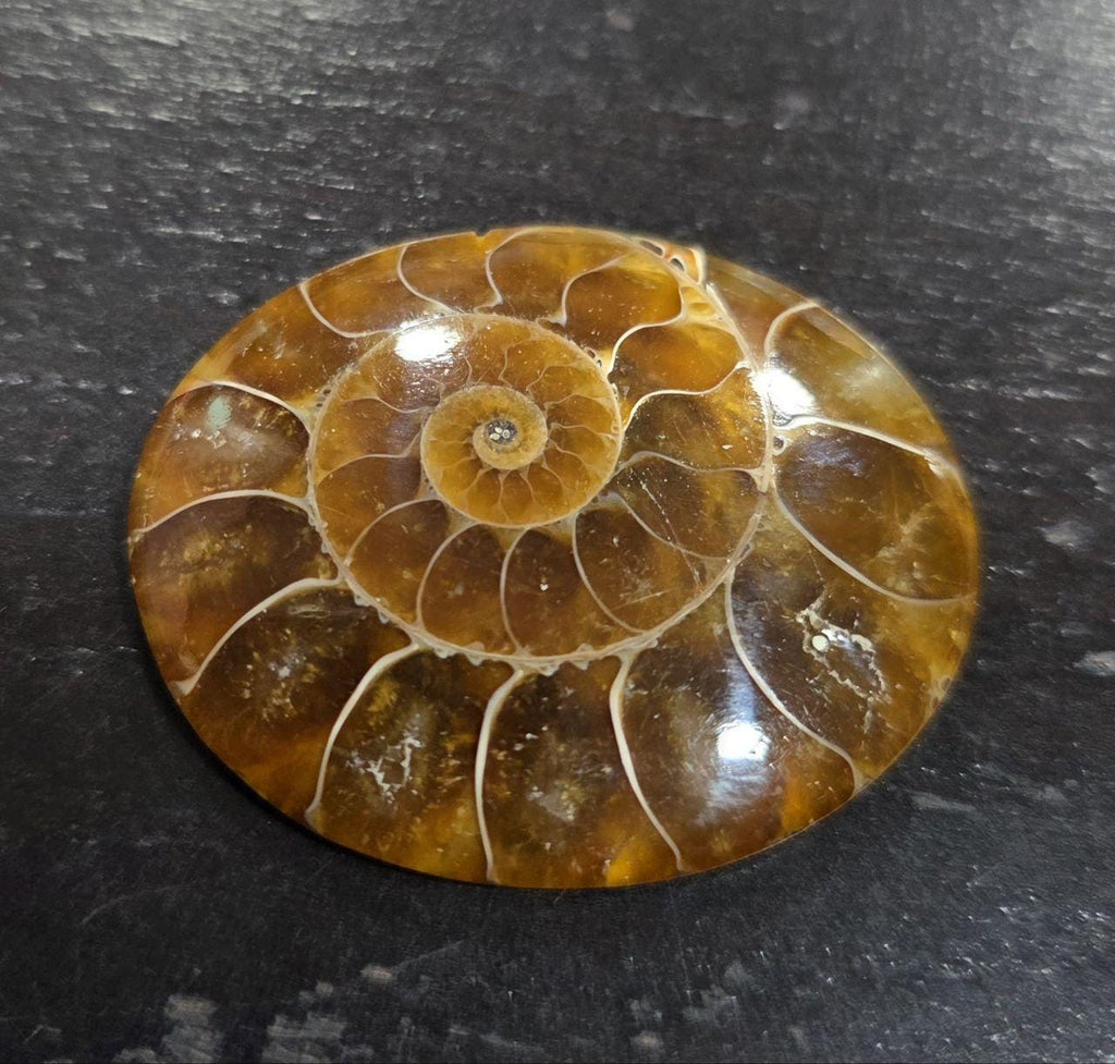 Big Top Quality Flat Ammonite Cabochon-Jewelry Making Natural Gems-48.23cts  38x32mm