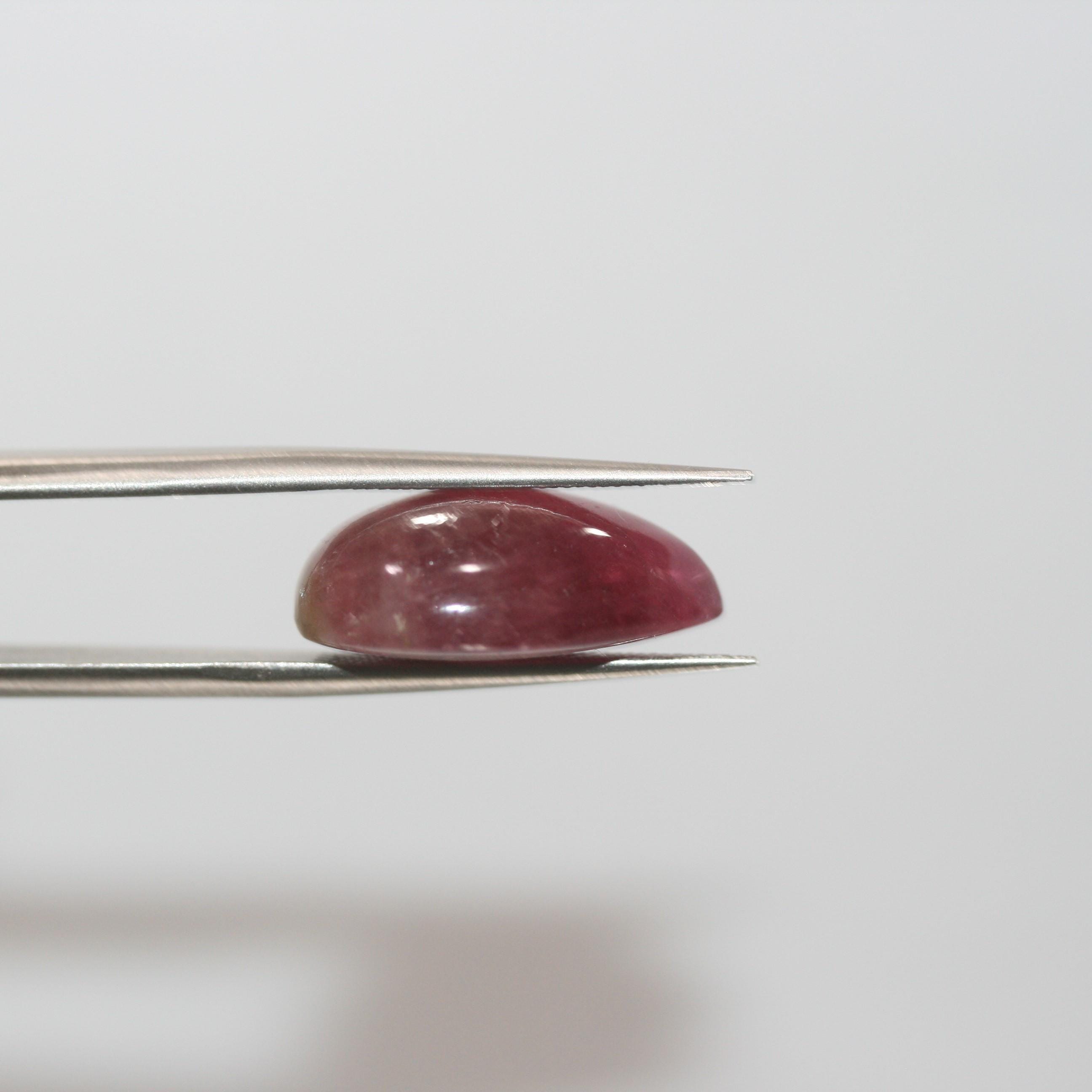 Bicolor Tourmaline Smooth Drop Cabochon 19.7x13.6mm. (16.17ct.) - Hard Gems